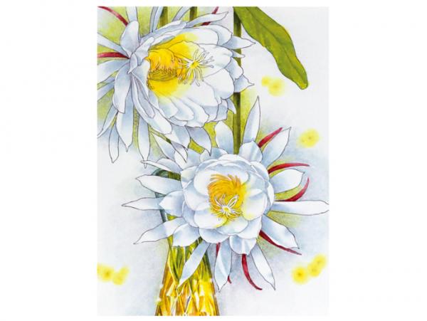 ペンで鮮やかに彩る　お花の水彩画風ぬり絵コレクション (23はるなつ)